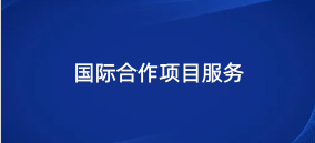 国际合作项目办公室